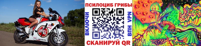 Псилоцибиновые грибы Cubensis Верхний Тагил